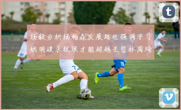 杨毅分析杨瀚森发展路径强调学习姚明追求极限才能超越王哲林周琦状态