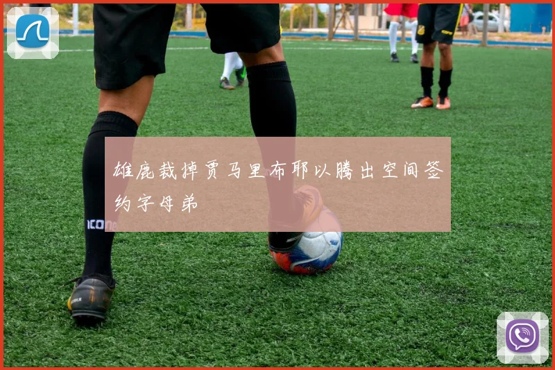 雄鹿裁掉贾马里布耶以腾出空间签约字母弟