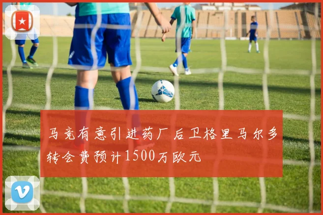 马竞有意引进药厂后卫格里马尔多转会费预计1500万欧元