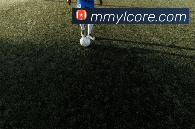 沐鸣娱乐APP 封面图